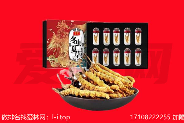 乌兰察布商都县回收虫草.jpg